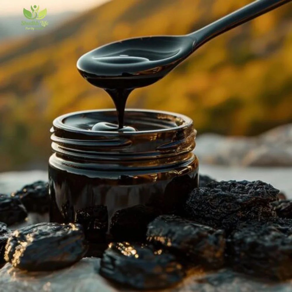 Best Shilajit Exporters in India